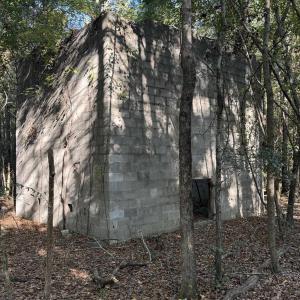 Photo #13 of 7506 Highway 501 Business, Latta, SC 73.0 acres