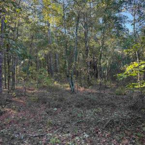 Photo #16 of 7506 Highway 501 Business, Latta, SC 73.0 acres