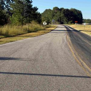 Photo #21 of 7506 Highway 501 Business, Latta, SC 73.0 acres