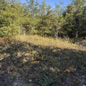 Photo #7 of 7506 Highway 501 Business, Latta, SC 73.0 acres