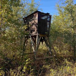 Photo #2 of 7506 Highway 501 Business, Latta, SC 73.0 acres