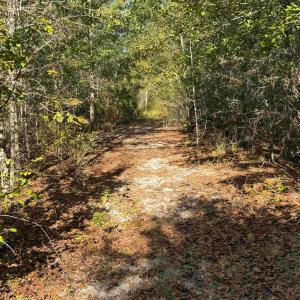 Photo #5 of 7506 Highway 501 Business, Latta, SC 73.0 acres