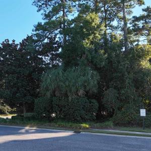 Photo #2 of 5 Cottage Dr., Murrells Inlet, SC 0.2 acres