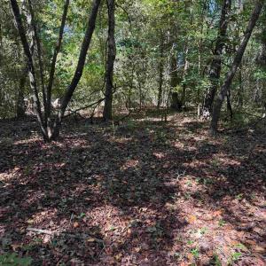 Photo #1 of TBD Tyler Rd., Marion, SC 0.5 acres