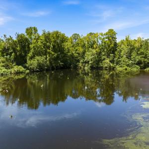 Photo #27 of 1569 DAVE PLOWDEN POND RD, Manning, SC 1,986.0 acres