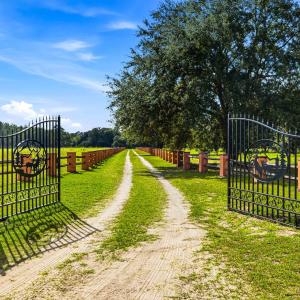 Photo #6 of 1569 DAVE PLOWDEN POND RD, Manning, SC 1,986.0 acres