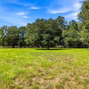 Photo #43 of 1569 DAVE PLOWDEN POND RD, Manning, SC 1,986.0 acres