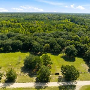 Photo #49 of 1569 DAVE PLOWDEN POND RD, Manning, SC 1,986.0 acres
