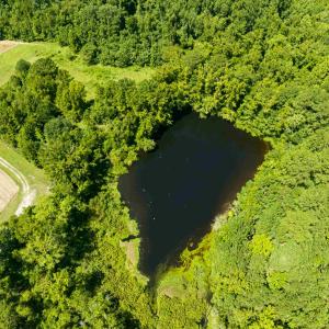 Photo #26 of 1569 DAVE PLOWDEN POND RD, Manning, SC 1,986.0 acres