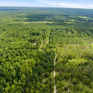 Photo #42 of 1569 DAVE PLOWDEN POND RD, Manning, SC 1,986.0 acres