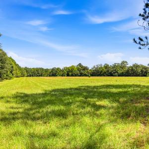 Photo #73 of 1569 DAVE PLOWDEN POND RD, Manning, SC 1,986.0 acres