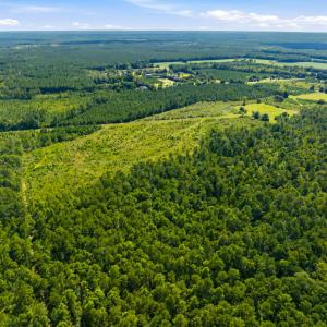 Photo #38 of 1569 DAVE PLOWDEN POND RD, Manning, SC 1,986.0 acres