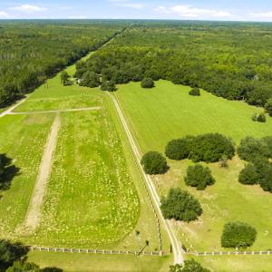 Photo #50 of 1569 DAVE PLOWDEN POND RD, Manning, SC 1,986.0 acres