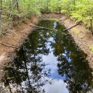 Photo #40 of 1569 DAVE PLOWDEN POND RD, Manning, SC 1,986.0 acres