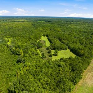 Photo #18 of 1569 DAVE PLOWDEN POND RD, Manning, SC 1,986.0 acres