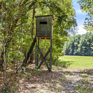 Photo #10 of 1569 DAVE PLOWDEN POND RD, Manning, SC 1,986.0 acres