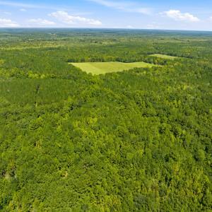 Photo #25 of 1569 DAVE PLOWDEN POND RD, Manning, SC 1,986.0 acres