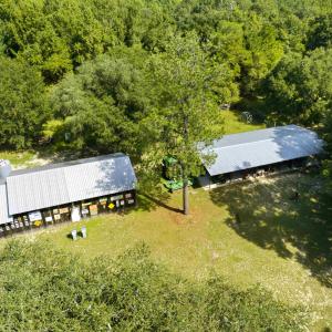 Photo #53 of 1569 DAVE PLOWDEN POND RD, Manning, SC 1,986.0 acres