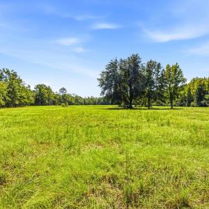 Photo #69 of 1569 DAVE PLOWDEN POND RD, Manning, SC 1,986.0 acres