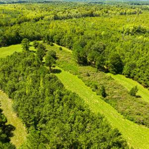 Photo #15 of 1569 DAVE PLOWDEN POND RD, Manning, SC 1,986.0 acres
