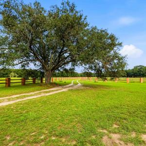 Photo #47 of 1569 DAVE PLOWDEN POND RD, Manning, SC 1,986.0 acres