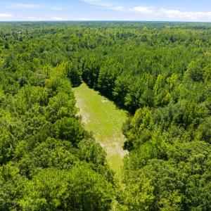 Photo #29 of 1569 DAVE PLOWDEN POND RD, Manning, SC 1,986.0 acres