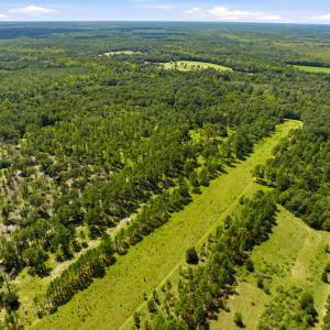 Photo #32 of 1569 DAVE PLOWDEN POND RD, Manning, SC 1,986.0 acres