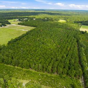 Photo #39 of 1569 DAVE PLOWDEN POND RD, Manning, SC 1,986.0 acres