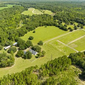 Photo #48 of 1569 DAVE PLOWDEN POND RD, Manning, SC 1,986.0 acres