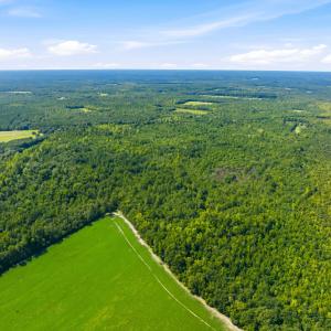 Photo #21 of 1569 DAVE PLOWDEN POND RD, Manning, SC 1,986.0 acres