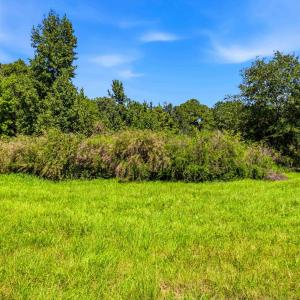 Photo #16 of 1569 DAVE PLOWDEN POND RD, Manning, SC 1,986.0 acres