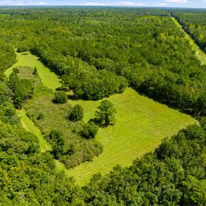 Photo #17 of 1569 DAVE PLOWDEN POND RD, Manning, SC 1,986.0 acres