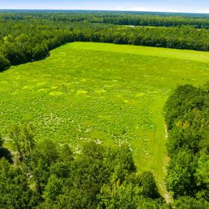 Photo #24 of 1569 DAVE PLOWDEN POND RD, Manning, SC 1,986.0 acres