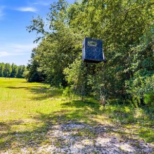 Photo #14 of 1569 DAVE PLOWDEN POND RD, Manning, SC 1,986.0 acres
