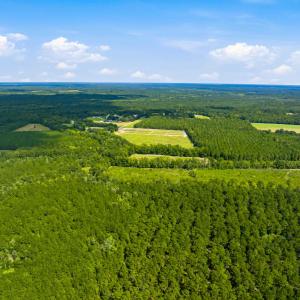 Photo #36 of 1569 DAVE PLOWDEN POND RD, Manning, SC 1,986.0 acres