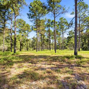 Photo #8 of 1569 DAVE PLOWDEN POND RD, Manning, SC 1,986.0 acres