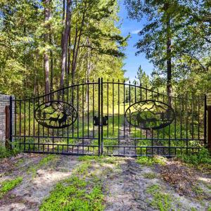 Photo #7 of 1569 DAVE PLOWDEN POND RD, Manning, SC 1,986.0 acres