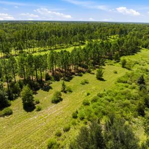 Photo #30 of 1569 DAVE PLOWDEN POND RD, Manning, SC 1,986.0 acres