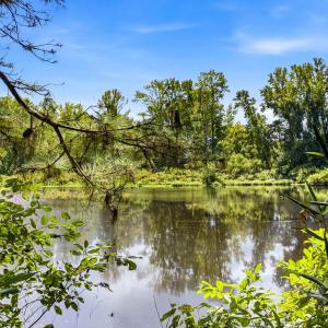 Photo #13 of 1569 DAVE PLOWDEN POND RD, Manning, SC 1,986.0 acres
