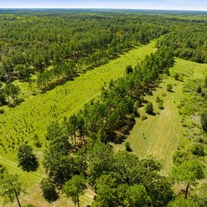 Photo #31 of 1569 DAVE PLOWDEN POND RD, Manning, SC 1,986.0 acres