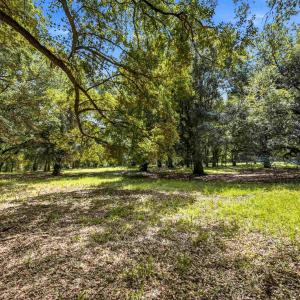 Photo #44 of 1569 DAVE PLOWDEN POND RD, Manning, SC 1,986.0 acres