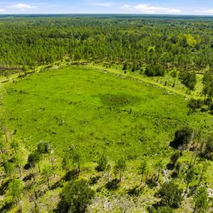 Photo #34 of 1569 DAVE PLOWDEN POND RD, Manning, SC 1,986.0 acres