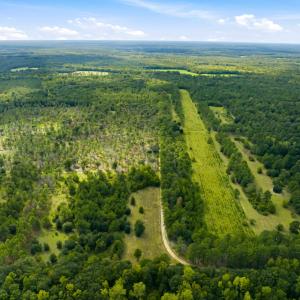 Photo #41 of 1569 DAVE PLOWDEN POND RD, Manning, SC 1,986.0 acres