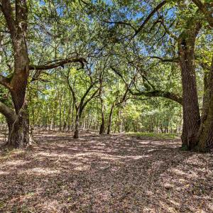 Photo #11 of 1569 DAVE PLOWDEN POND RD, Manning, SC 1,986.0 acres