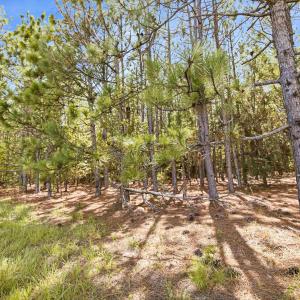 Photo #5 of 1569 DAVE PLOWDEN POND RD, Manning, SC 1,986.0 acres