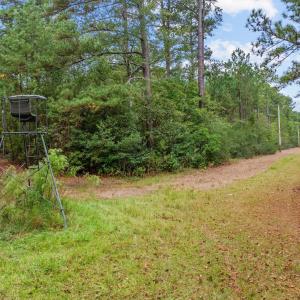 Photo #1 of TBD River Bend Rd., Loris, SC 200.0 acres