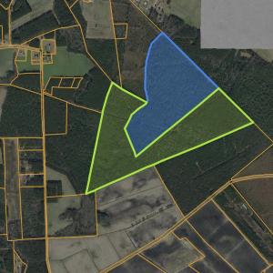 Photo #2 of TBD River Bend Rd., Loris, SC 200.0 acres