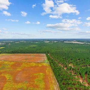 Photo #8 of TBD River Bend Rd., Loris, SC 200.0 acres