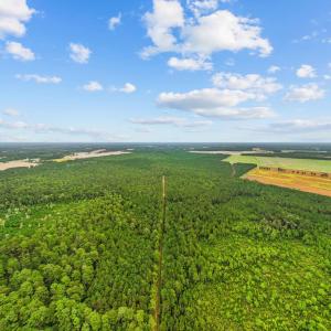 Photo #10 of TBD River Bend Rd., Loris, SC 200.0 acres