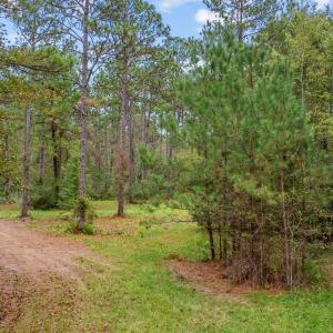 Photo #14 of TBD River Bend Rd., Loris, SC 200.0 acres